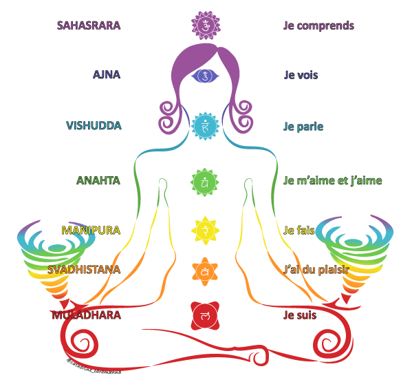 Les sept chakras principaux